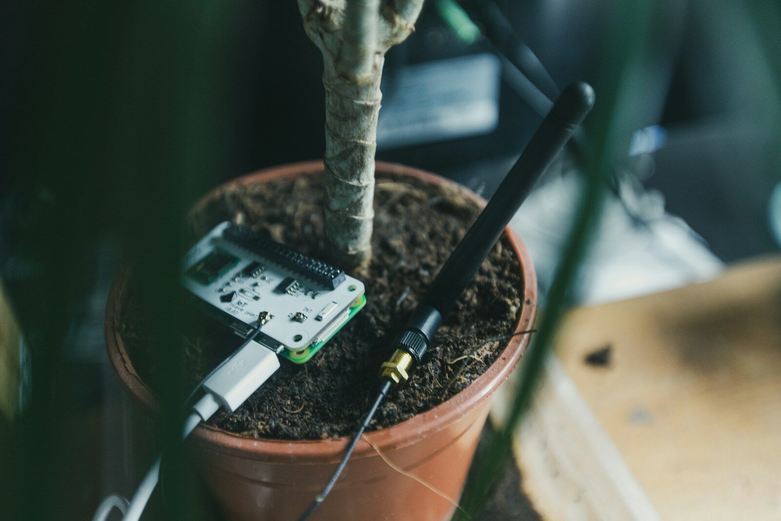 green and white digital device on brown clay pot